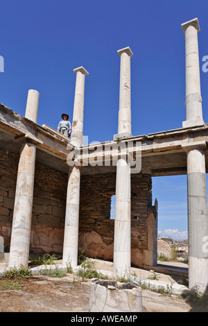 Casa di Hermes, Delos, Grecia Foto Stock