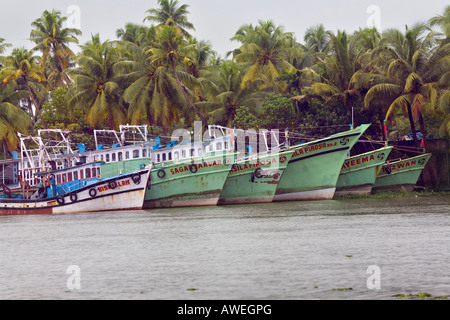 Attività di pesca i pescherecci con reti da traino sul posto barca in Kerala Backwaters un dedalo di vie navigabili foderato con fitta vegetazione tropicale Kerala India Foto Stock