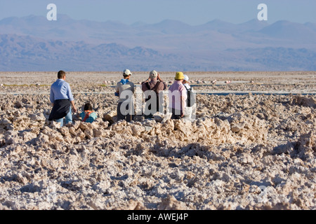 I turisti che osservano i fenicotteri a Reserva Nacional los Flamencos presso le saline Salar de Atacama, Región de Antofagasta, Cile Foto Stock