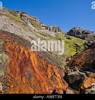 Molla colorata ricca di minerali e di depositi di ferro, Selvellir, Penisola Snaefellsness, Islanda, Oceano Atlantico Foto Stock