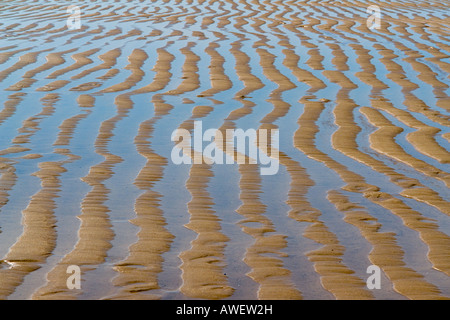 Modelli su spiagge di Lacanau Ocean, Francia, Europa Foto Stock