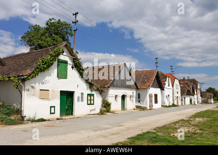 Alloggio Edifici presse per il vino in Diepolz, Weinviertel (vino regione), Austria Inferiore, Austria, Europa Foto Stock