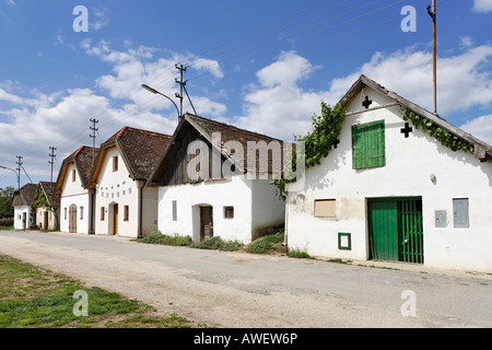 Alloggio Edifici presse per il vino in Diepolz, Weinviertel (vino regione), Austria Inferiore, Austria, Europa Foto Stock