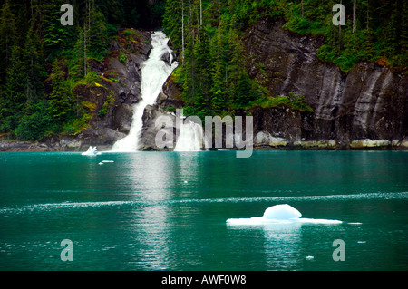 Cascate e iceberg nel nebbioso fiordi di Tracy braccio Alaska USA Foto Stock