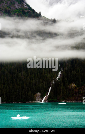 Cascate e iceberg nel nebbioso fiordi di Tracy braccio Alaska USA Foto Stock