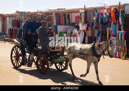 Carro trainato da cavalli o Hantour porta i turisti passato le bancarelle del mercato e attraverso le strade di Edfu Egitto Nord Africa Foto Stock