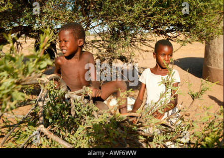 Due ragazzi seesawing su un ramo, Cattlepost Bothatogo, Botswana, Africa Foto Stock