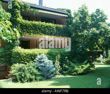 Bassa costruito in mattoni casa con coperta di edera balconi in un giardino soleggiato con prati e conifere nane Foto Stock