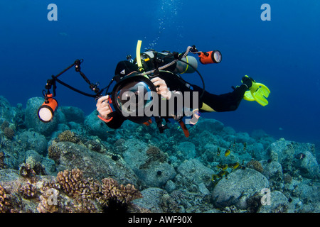 Un subacqueo linee fino su una scogliera con la sua fotocamera digitale reflex in un alloggiamento subacqueo con Doppi lampeggiatori stroboscopici costa di Kona, Hawaii. Foto Stock