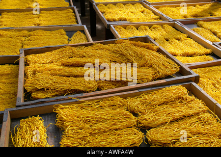 Pasta precotta steso a secco, fabbrica di pasta alimentare, Demerara Provincia, Guyana, Sud America Foto Stock