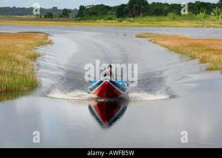 Il motoscafo, Lago Capoey, Guyana, Sud America Foto Stock