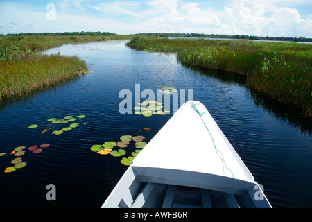 In barca sul lago, Capoey, Guyana, Sud America Foto Stock