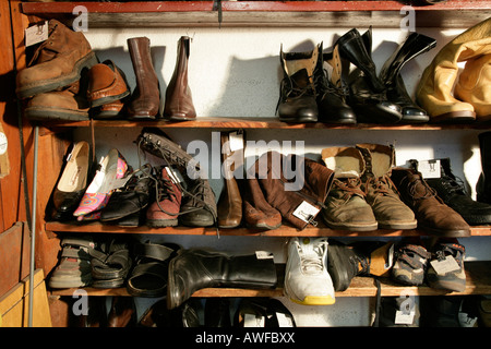 Scarpe su una rastrelliera per scarpe in una vecchia bottega del  calzolaio,, Muehldorf am Inn, Baviera, Germania, Europa Foto stock - Alamy