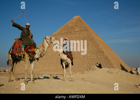 Camel piloti davanti a Piramide di Giza in Egitto, Africa Settentrionale, Africa Foto Stock
