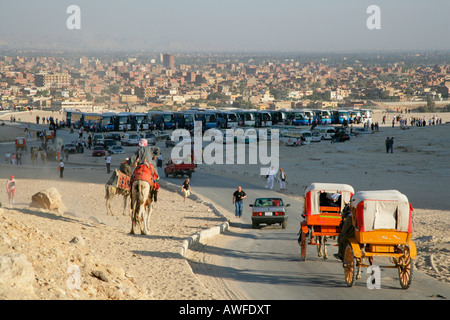 Gli autobus turistici in un parcheggio vicino alle piramidi di Giza in Egitto, Africa Settentrionale, Africa Foto Stock