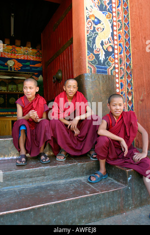 Il debuttante monaci seduti sulle scale di entrata alla Paro dzong, Bhutan Foto Stock