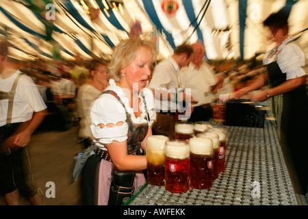 I partecipanti e i camerieri in una tenda di birra a un festival internazionale per costume nazionale, Muehldorf, Alta Baviera, Baviera, G Foto Stock