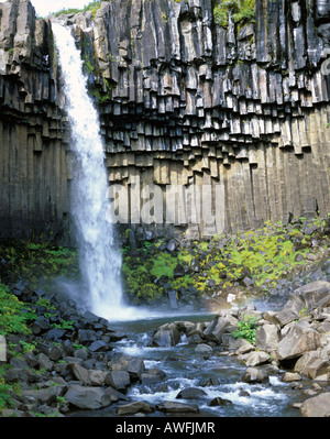 Svartifoss, 'Black cascata, ' con le colonne di basalto, Skaftafell National Park, sud-est di Islanda Islanda Foto Stock