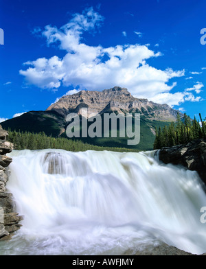 Cascate Athabasca, Athabasca River, il Parco Nazionale di Jasper, Alberta, Canada Foto Stock