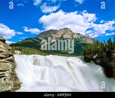 Cascate Athabasca, Athabasca River, il Parco Nazionale di Jasper, Alberta, Canada Foto Stock