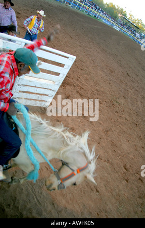 Bareback bronc riding, Mt Isa rodeo Foto Stock