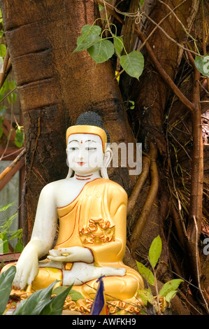 Fotografia di stock di una ceramica Buddha seduto sotto un albero bodhi a Sein Yong Chi Pagoda nel centro di Yangon Myanmar Foto Stock