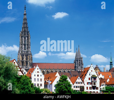Ulm la cattedrale gotica (Ulmer Muenster), che a 161, 5 m o 530 m dispone di più alte del mondo guglia della chiesa, Ulm, Baden-Wuer Foto Stock