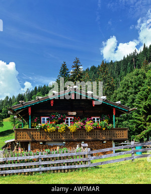 Log Cabin con balcone e fioriere in corrispondenza del bordo della foresta in Stiria, Austria, Europa Foto Stock