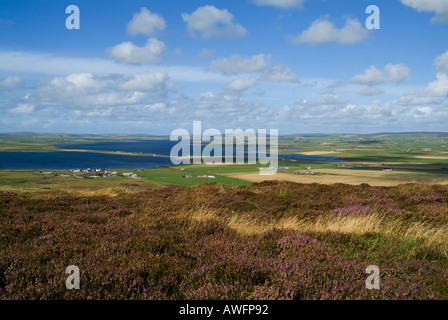 dh Loch of Stenness STENNESS ORKNEY Heather colline vista Loch Di Harray e Loch di Stenness paesaggio continentale paesaggi estate Foto Stock