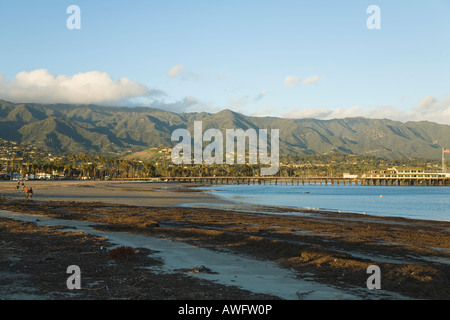 CALIFORNIA Santa Barbara alghe ad ovest sulla spiaggia con la bassa marea Stearns Wharf e montagna in background Foto Stock