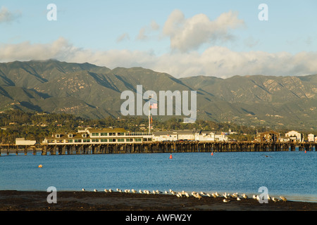 CALIFORNIA Santa Barbara gabbiani waters edge a bassa marea West Beach Stearns Wharf e le montagne sullo sfondo Foto Stock