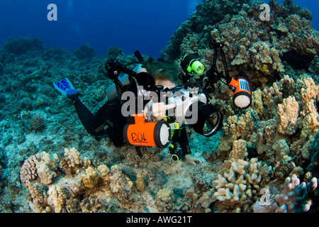 Un subacqueo linee fino su una scogliera con la sua reflex digitale fotocamera ancora in un alloggiamento subacqueo con impulsi stroboscopici, Costa di Kona, Hawaii. Foto Stock