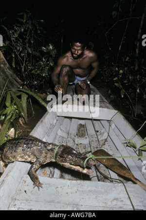 Pescatore catture Dwarf Caimano Fiume Mazaruni Guyana Foto Stock