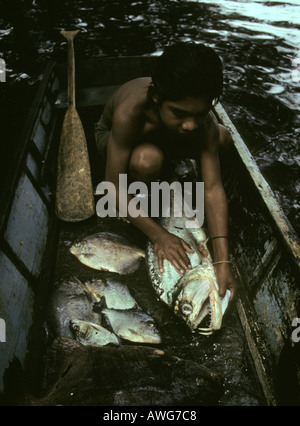 Amerindian boy con pesce Catture fiume Mazaruni Guyana Foto Stock