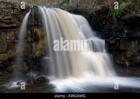 Oriente Gill vigore nei pressi di Keld in Swaledale Foto Stock