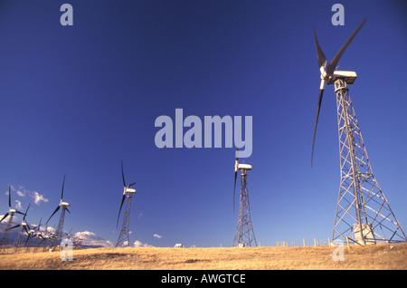 Generazione di potenza mulini a vento in prossimità del rullo di estrazione Creek Alberta Canada Foto Stock