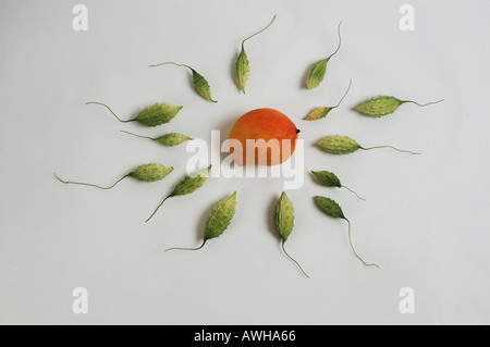 Gruppo mazzetto raccolta di asiatici gourd Amaro melone guardando come lo sperma o topi voce per uovo di mango 9784 dsc Foto Stock