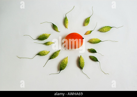 Gruppo mazzetto raccolta di asiatici gourd Amaro melone guardando come lo sperma o topi voce per uovo di mango 9785 dsc Foto Stock