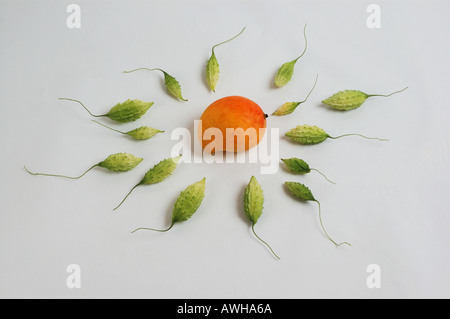 Gruppo mazzetto raccolta di asiatici gourd Amaro melone guardando come lo sperma o topi voce per uovo di mango 9786 dsc Foto Stock