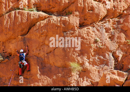 Marocco Marocco centrale Todra Gorge uno scalatore continua a salire la pura faccia del Todra Gorge Foto Stock