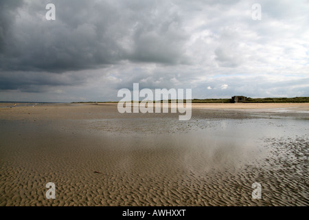 La vista lungo la Utah Beach (uscita 2 area) verso una pistola tedesca emplacement a bassa marea in Normandia. Foto Stock