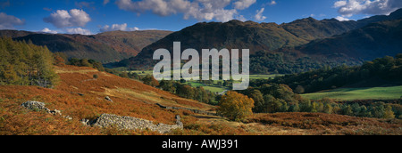 Borrowdale Parco Nazionale del Distretto dei Laghi Cumbria Inghilterra England Regno Unito Foto Stock