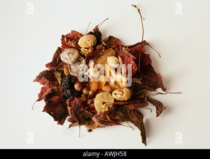 I dadi e la frutta secca su letto di foglie essiccate Foto Stock