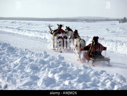 Finlandia, saamis viene tirato su slitte trainate da renne sul percorso, vista posteriore Foto Stock