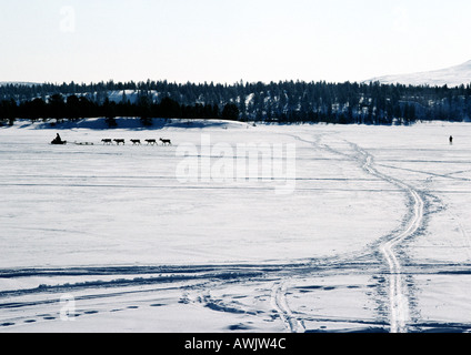 La Finlandia, le tracce nella neve, motoslitta e renne in distanza Foto Stock