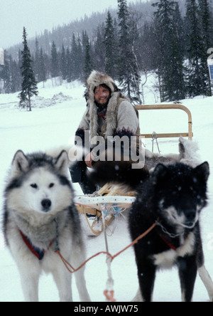 La Svezia, l'uomo seduto sulla slitta trainata dai cani da slitta Foto Stock