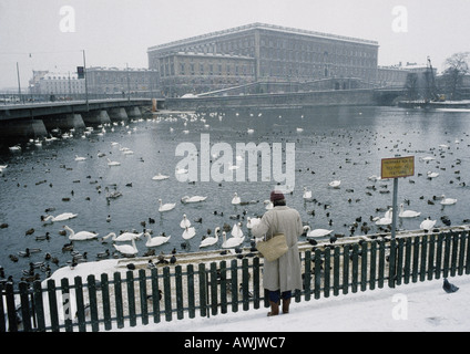 La Svezia, Stoccolma, persona in piedi nella neve guardando gli uccelli in acqua, vista posteriore Foto Stock