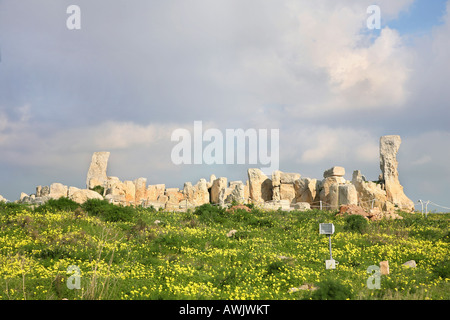 Hagar Qim Malta tempio Foto Stock