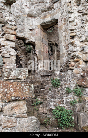 Easby Abbey rovine Foto Stock