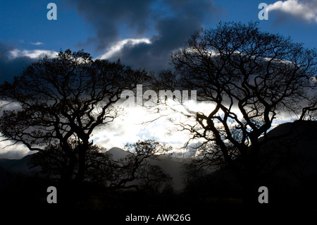 Una vista generale del Distretto del Lago neatr raffigurato a Windermere in Cumbria Qui potete vedere la silhouette di una drammatica notte Foto Stock